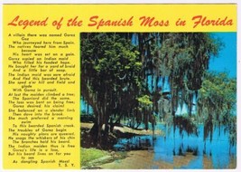 Postcard Spanish Moss In Florida The Legend - $2.96