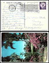 1960 US Postcard - Saint Petersburg, Florida to Morley, Michigan T18 - $2.96