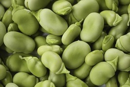 Bean Mix  Garden Seed Collection, Heirloom, Organic Seeds, 6 Top Varieties - £9.43 GBP