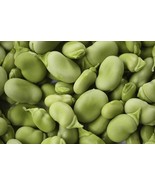Bean Mix  Garden Seed Collection, Heirloom, Organic Seeds, 6 Top Varieties - £9.41 GBP