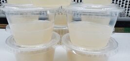 Carnivorous Plant Pre-Transplant Gel Cups – Sterile Basal Medium - $726.40 MXN+