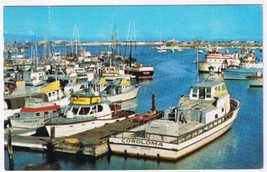 California Postcard San Diego Harbor Sportfishing Boats Municipal Yacht Basin - $2.96