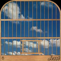 Jesse Vol.3 (1982) [Audio CD] Jesse - £23.95 GBP