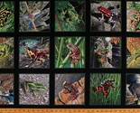 23.5&quot; X 44&quot; Panel Amazing Frogs Animals Fabric Panel D368.45 - $7.80