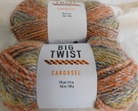 Big Twist Carousel Harvest lot of 2 Dye lot 490782 - £10.41 GBP