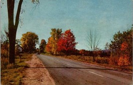 Postcard Picturesque Road Scene in Maine Posted 1956 Autumn Foliage Fall Colors - £3.13 GBP