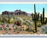 Giant Cactus Supersition Mountain Apache Trail AZ UNP Unused WB Postcard... - $4.04