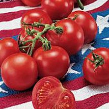 PM Fourth of July Tomato Seeds (25 Seed Packet) (More Heirloom, Organic,... - $4.75