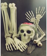 &quot;Skeletal Remains Ground Breaker&quot; w Light-Up Brain Spirit Halloween, Wor... - €38,42 EUR