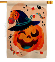 Funny Halloween Pumpkin House Flag 28 X40 Double-Sided Banner - £29.48 GBP