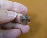 (CR592-109) 9/16&quot; Fairy Stone CHRISTIAN CROSS oiled Staurolite Crystal M... - £11.91 GBP