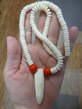 G160-302) 2&quot; GATOR Alligator Tooth TEETH Jewelry aceh bovine bone + red NECKLACE - £35.08 GBP