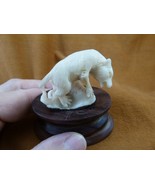 (tb-bin-4) Binturong Bearcat Nutria Muskrat TAGUA NUT palm figurine Bali... - $70.45 CAD