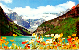 Postcard Banff Poppies Lake Louise Canadian  Rockies Unposted 5.5 x 3.5 ins. - £3.88 GBP