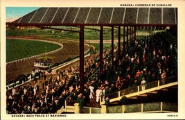 Horse Racing Mariano Race Track Havana Cuba linen postcard-BK51 - £3.87 GBP
