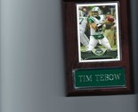 BREECE HALL PLAQUE NEW YORK JETS NY FOOTBALL NFL   C - $3.95