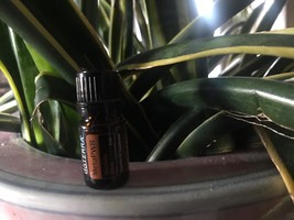 doTERRA MetaPWR  5 mL Essential Oil NEW &amp; SEALED Exp 12/28 - $15.00