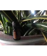doTERRA MetaPWR  5 mL Essential Oil NEW & SEALED Exp 12/28 - $15.00