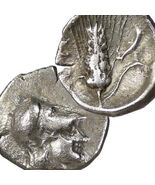 ATHENA Corinthian Helmeted head/Grain Ear, Metapontum, Lucania Greek Sil... - $331.55