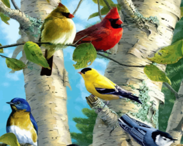 Birds paint by numbers thumb200
