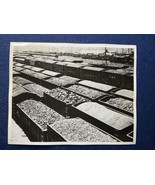 WILLIAMSON WV WEST VIRGINIA LOADED COAL CARS IN RAILYARD - $27.11 CAD