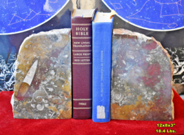 Extra Large Fossil Bookends w/ Orthoceras Ammonite Etc * 12x8x3&quot; 18.4 Lbs - £124.03 GBP