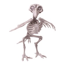 7-in Horror CROW SKELETON BONES Dead Pet Bird Poseable Halloween Prop De... - $105.68 MXN