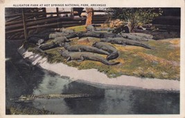 Alligator Farm Hot Springs National Park Arkansas AR Postcard B26 - £2.39 GBP
