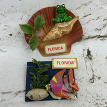 Collectible Refrigerator Magnet Vintage Florida Tropical Fish Frog  Seas... - $19.79