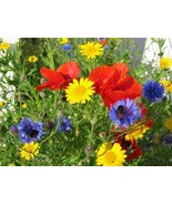 Wildflower Seed Mix ,8 ounces , Great for Colorful Borders and  Gardens. - £6.29 GBP