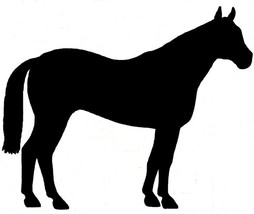 Quarter Horse QH Equine Decal Black Silhouette Profile Sticker on a Clea... - $94.05 MXN