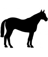 Quarter Horse QH Equine Decal Black Silhouette Profile Sticker on a Clea... - $5.00