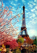 Postcard France Paris View of Eiffel Tower Cherry Blossoms 6 x 4&quot; - £3.89 GBP