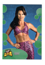 2001 Fleer WWF Ultimate Diva Collection Ivory #3 Pro Wrestling Card WWE NM - £1.53 GBP