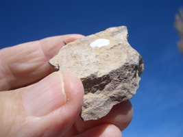 Item image 15