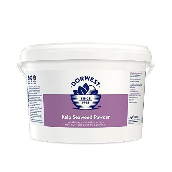 Dorwest Herbs Kelp Seaweed Powder for Dogs and Cats 1.5kg  - $85.00