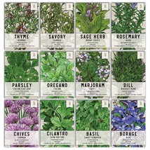 , Culinary Herb Seed Packet Collection (12 Individual Varieties Of Herb Seeds Fo - £15.97 GBP