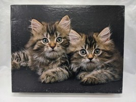 Little Whiskers Keith Kimberlin Great American Puzzle Factory 18&quot; X 24&quot; - $16.04
