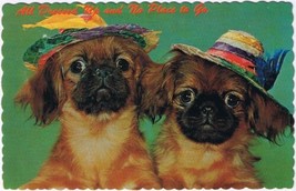 Postcard Dogs All Dressed Up Greetings From Long Point Beach Fort Erie Ontario - £2.19 GBP