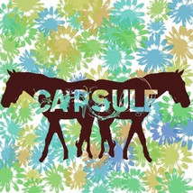 Capsule (5) - Capsule (LP, Comp, Bro) (Very Good Plus (VG+)) - £6.12 GBP