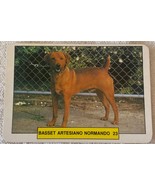 ⭕⭕VTG pocket calendar 1993 DOGS MANIL BASSET ARTESIANO NORMANDO N23 - $4.46
