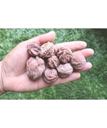 Lot of 8 Natural Desert Rose Crystals – Raw Selenite Sand Rose Stones - €16,12 EUR