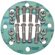 FNW Accessory Pack 8in. 300# Zinc Non-Asbestos 1/16 Nut, Bolt, Gasket Set - £62.90 GBP