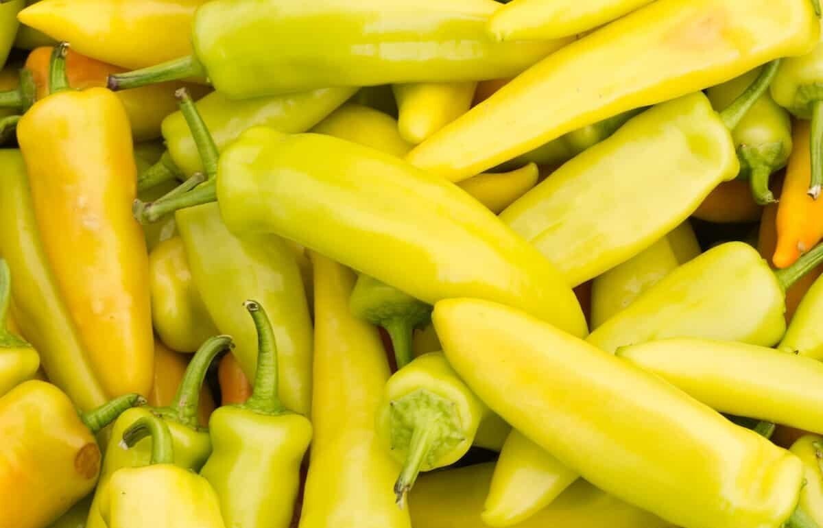 Yellow Hot Jalapeno Pepper Seeds Caloro Pepper Fresh Fast Shipping - $3.78