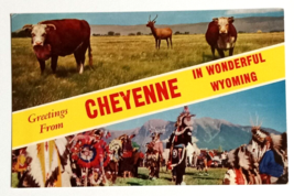 Greetings from Cheyenne in Wonderful Wyoming Cows WY UNP Postcard c1960s - £4.78 GBP