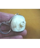 (TNE-ELE-481A) lucky white baby Elephant TAGUA NUT Figurine carving KEYC... - $16.12