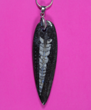 Authentic Orthoceros Necklace Fossil 500 Million Years Old Dinosaur Girl... - $41.13 CAD