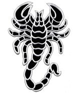Scorpion Death Back Patch Patrol Drive Large Size Embroidery Iron On Mul... - $15.69+
