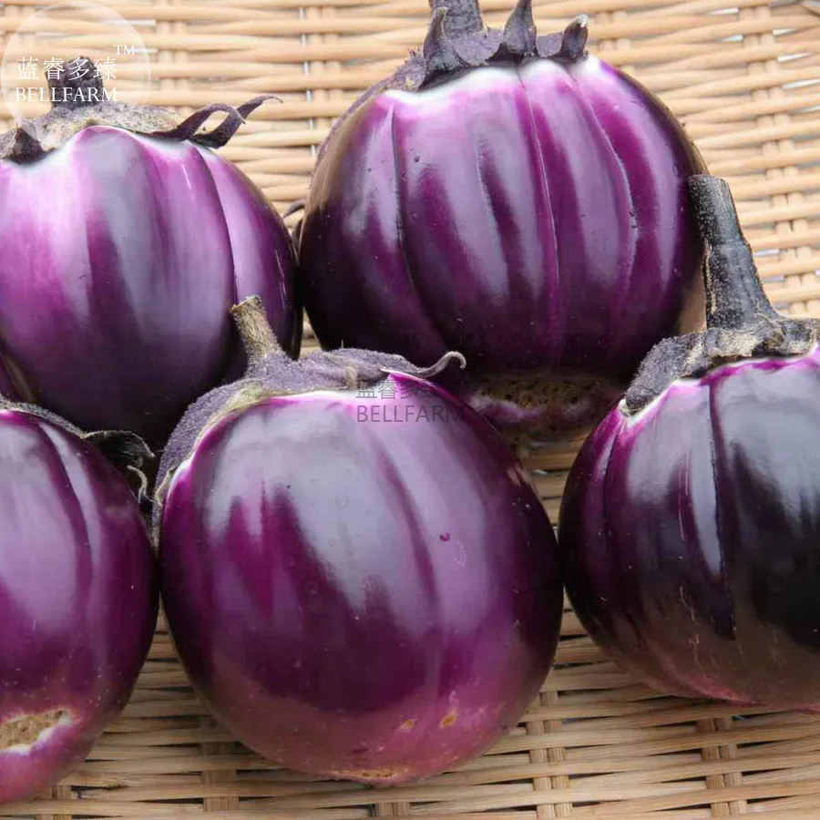 Bellfarm Violet &amp; White Eggplant Seeds - 100 PCS Organic &amp; Sweet! - £4.67 GBP