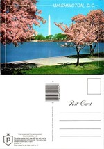 Washington D.C. Washington Monument Cherry Blossom Trees VTG Postcard - £7.39 GBP